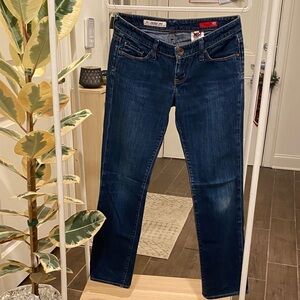 Vintage Y2K Ultra Low Rise Blue Jeans